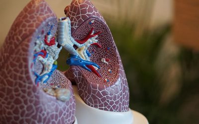 Doenças mais comuns no sistema respiratório